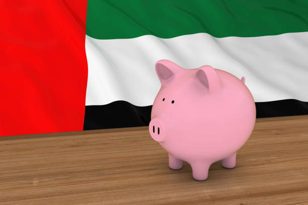 money investment in uae